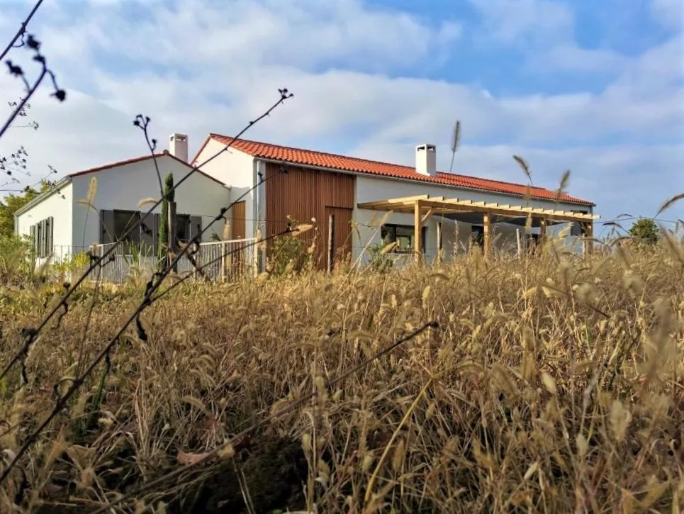 Two villas in lush countryside — Detail